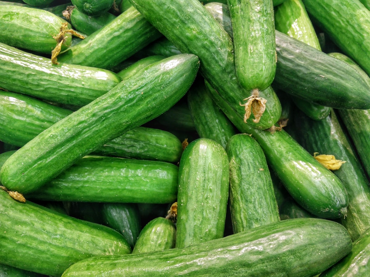Cucumber for IBD nutrition education