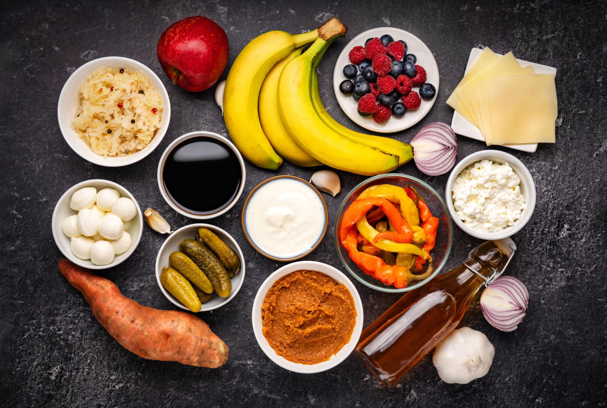 Nutrition education image for IBD formula types