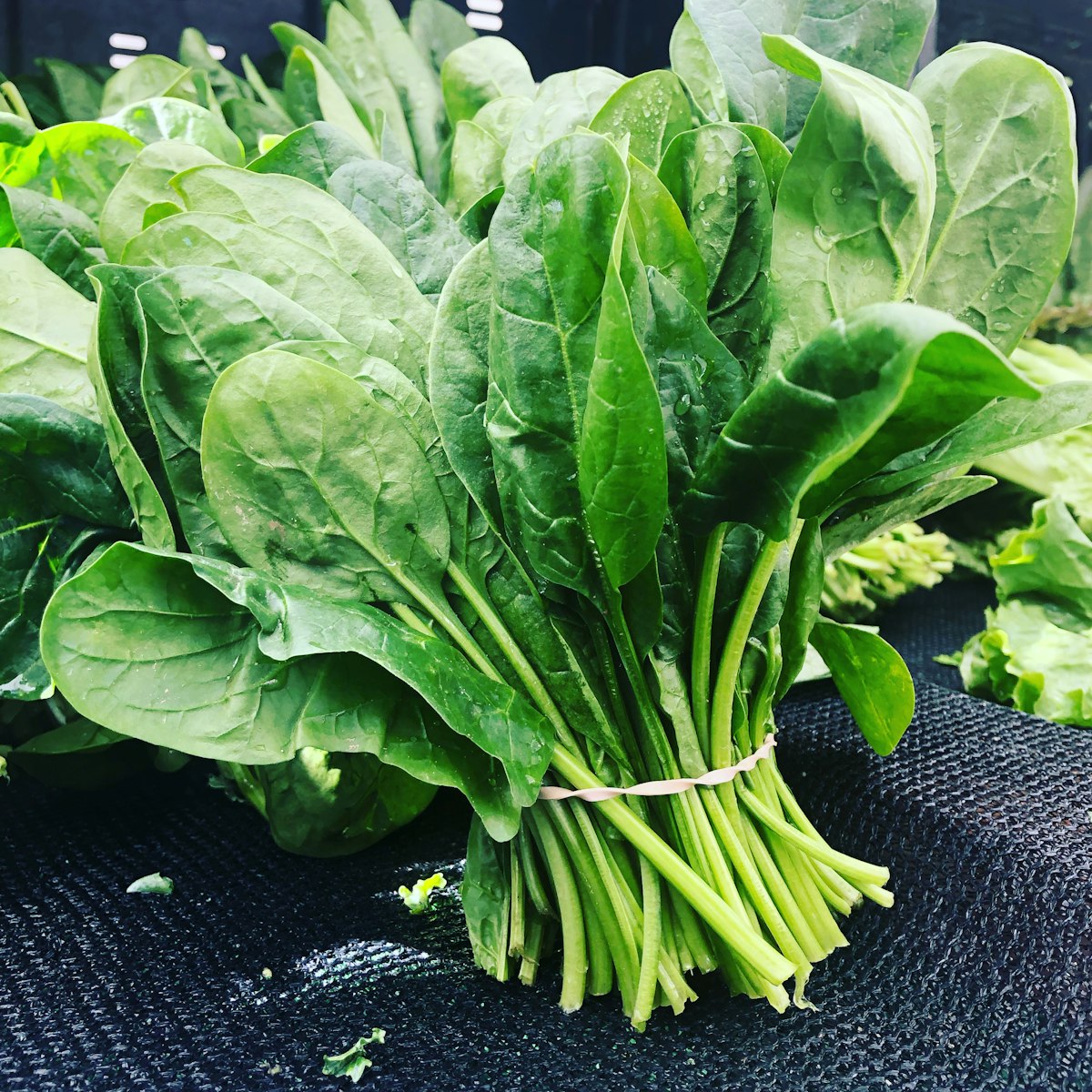 Folate nutrition education for IBD
