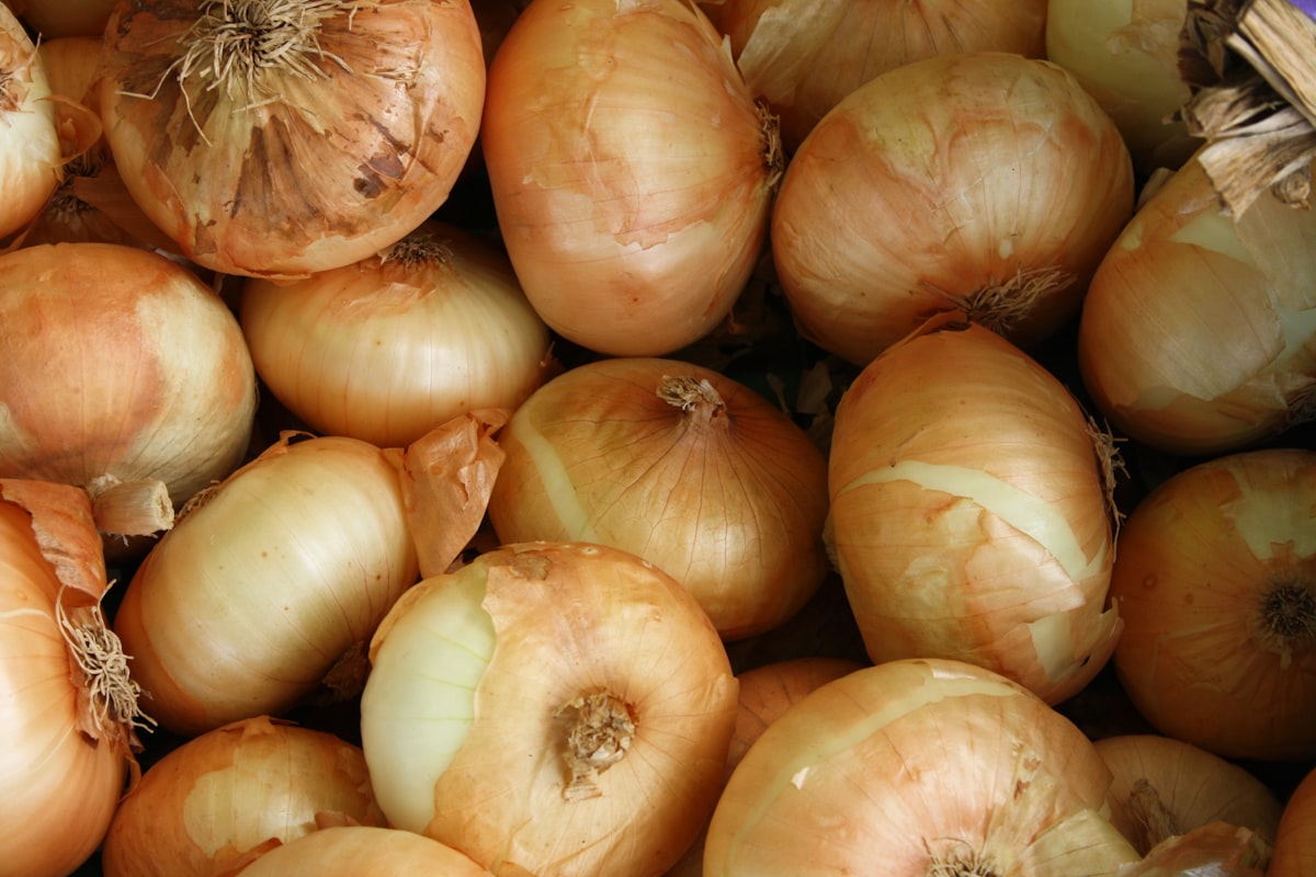 Onion and garlic for IBD nutrition education