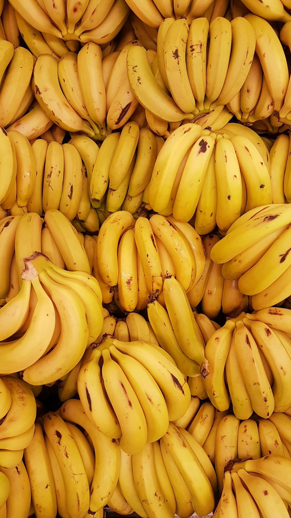 Plantain With IBD: Green Versus Ripe, Boiled Versus Fried