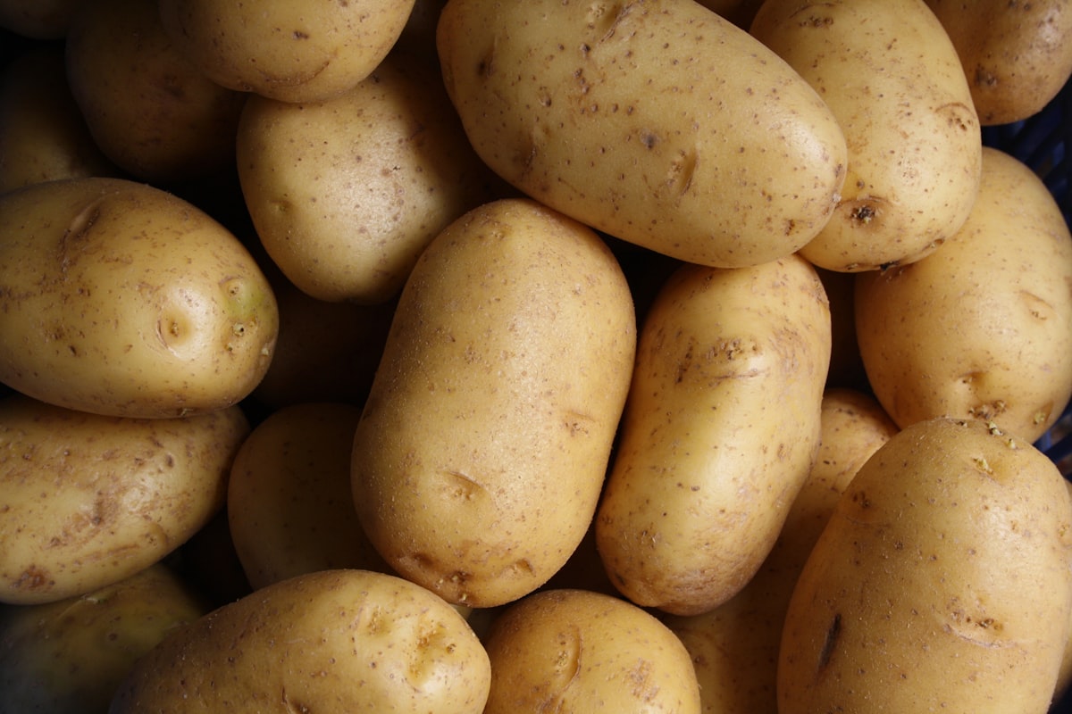 White potatoes for IBD nutrition education