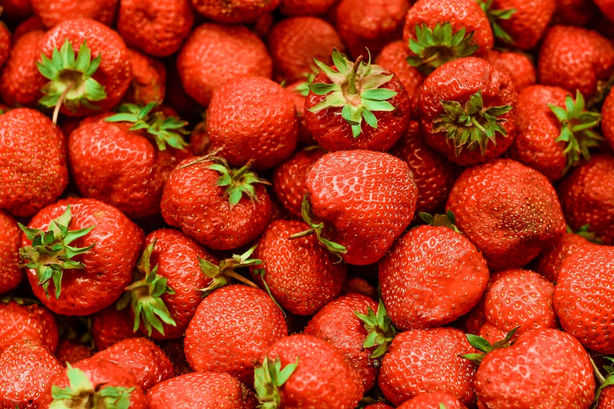 Strawberries for IBD nutrition education