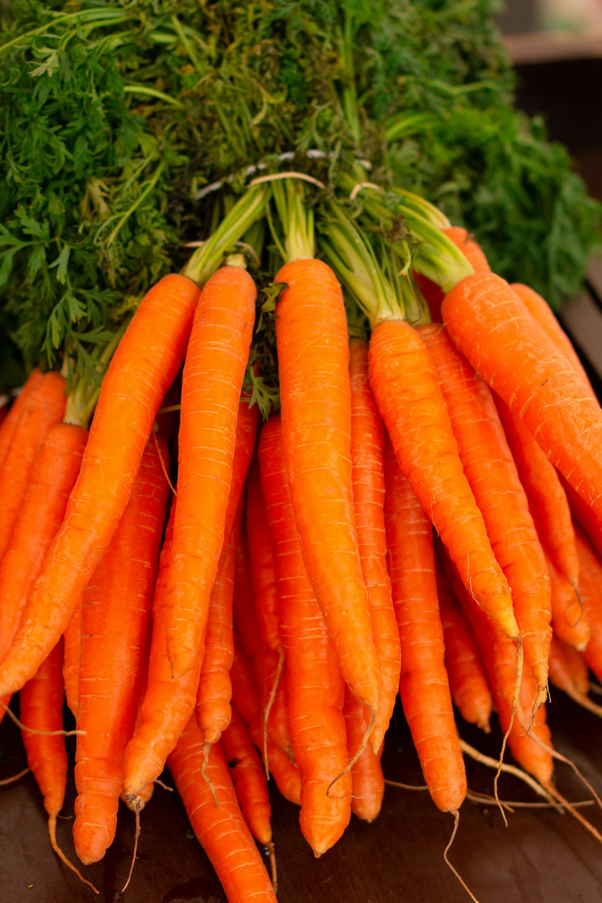 Vitamin A nutrition education for IBD
